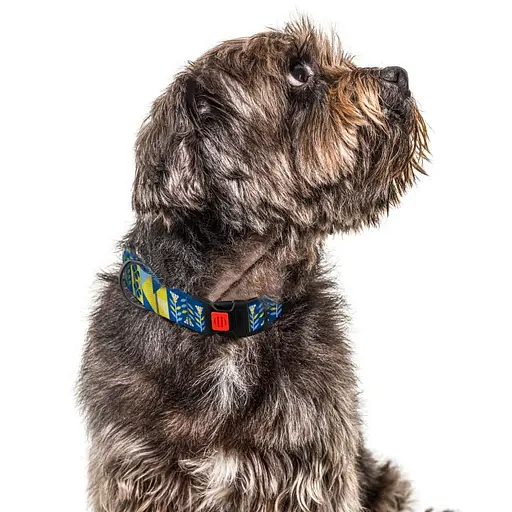 Ошейник для собак Баркси Urban патриотический Мечта - фото 4