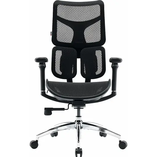 Офисное кресло Sihoo DORO S100 Mesh Black (S100-M301) [148688] - фото 1