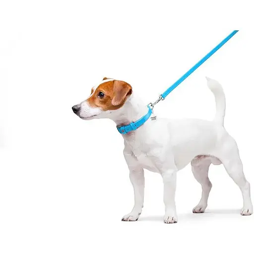 Повідець для собак Waudog Glamour шкіряний, блакитний - фото 3