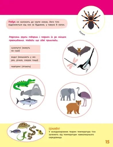 Школа Кенгуру. Пізнаємо світ. III крок - фото 5