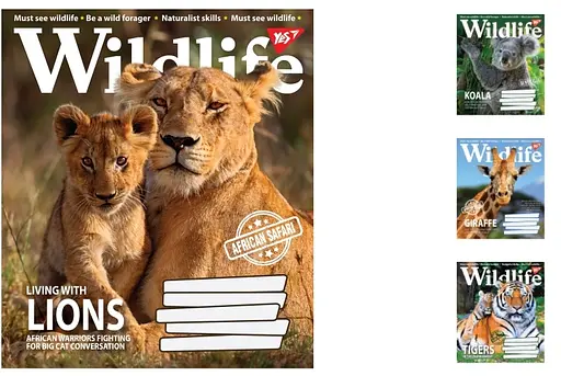Зошити учнівські 18 аркушів лінія. YES Wild life, 25 шт. в упаковці