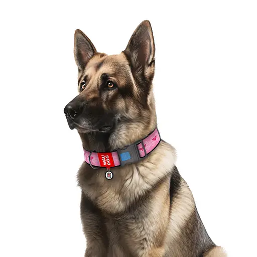 Нашийник для собак нейлоновий Waudog Nylon з QR-паспортом "Диво-жінка 1" пластиковий фастекс XXL Ш 35 мм Д 46-70 см - фото 3