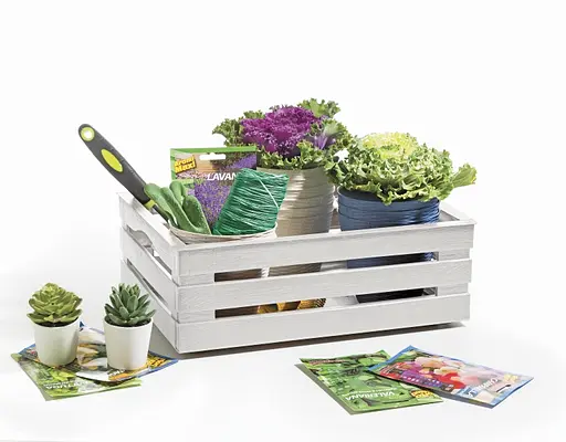 Ящик для хранения Tina 2 25x31x11,5h молочный - фото 2