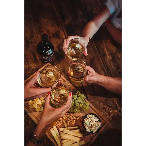 Коньяк Bache Gabrielsen American Oak 40% 1 л  - фото 3