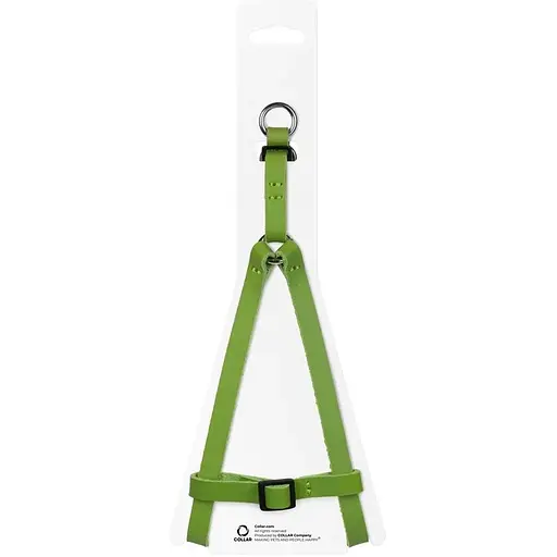 Шлейка для кошек и мелких собак Waudog Classic кожаная с QR паспортом, пластиковый фастекс, XS салатовая - фото 3