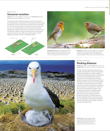 Animal Behaviour: Stories of Instinct, Intelligence and Adaptation - фото 5