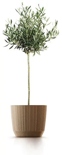 Горщик для квітів Prosperplast Ryfo Eco Wood круглий бежевий 170 мм (82678-4665) - фото 2