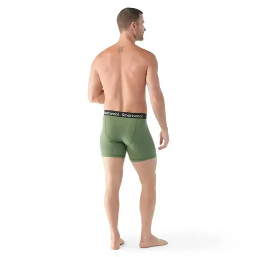 Термошорти Smart Wool Men's Merino Boxer Brief Boxed Fern Green S (1033-SW SW016998.N06-S) - фото 3