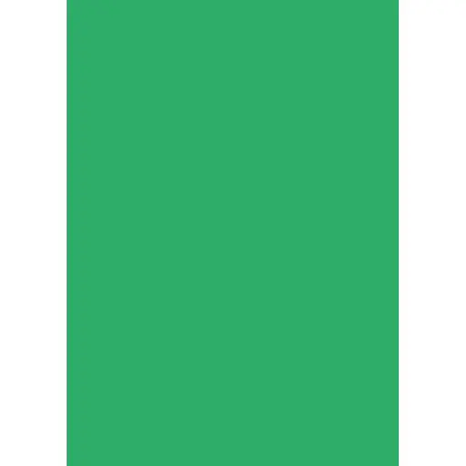 Папір для дизайну Folia Tintedpaper В2 (50x70см) №54 трав'яний 130г/м без текстури