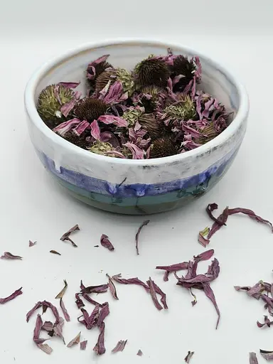 Ехінацея квіти сушені, 25 г - фото 2