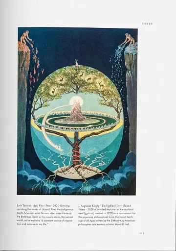 Plant Magick. The Library of Esoterica - фото 9