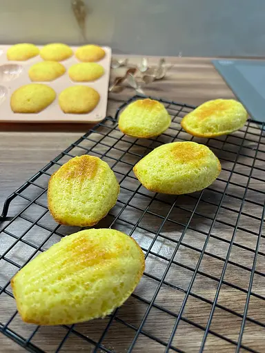 Форма силиконовая для выпечки печенья Мадлен на 18 ракушек 32х24х1.4 см C381, Kitchen Master Серый 87173 - фото 3