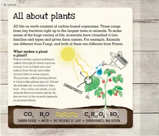 Grow. A Family Guide to Growing Fruit and Veg - фото 9