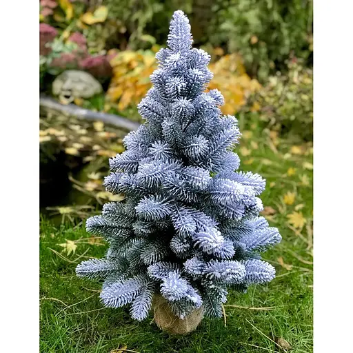 Ялинка Hvoya Premium лита в мішковині 70 см засніжена - фото 4