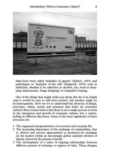 Consumer Culture (2nd Edition) - фото 8