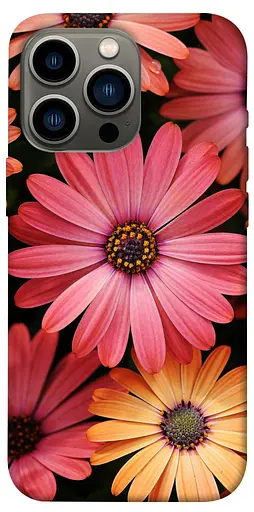 TPU чохол Осінні квіти - фото 1