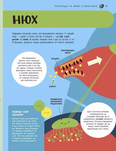Енциклопедія STEM для дітей: 100 понять майбутнього генія - фото 12