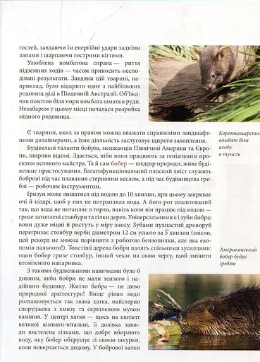 Енциклопедія для допитливих А5 : Тварини - винахідники і будівельники (Українська, 01 КРЕЙДОВАНИЙ ) - фото 8
