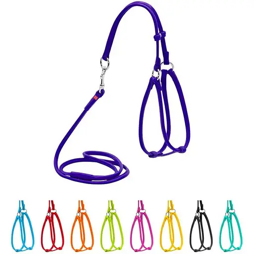 Шлея з повідцем для собак Waudog Glamour шкіряна з QR паспортом, кругла, фіолетовий - фото 3