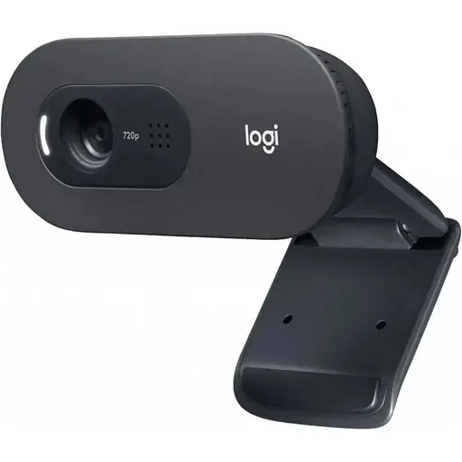Веб-камера Logitech C505e HD (960-001372) - фото 1