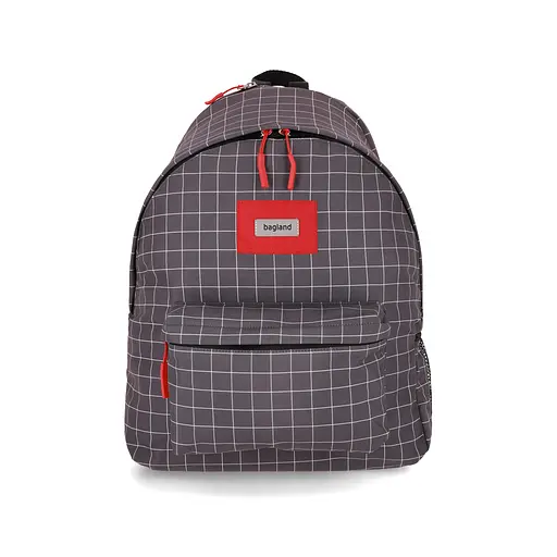 Рюкзак Bagland Stylish L 24 л сублимация 1339 (00518694)
