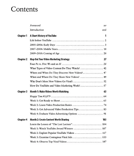 An Hour a Day: YouTube and Video Marketing - фото 2