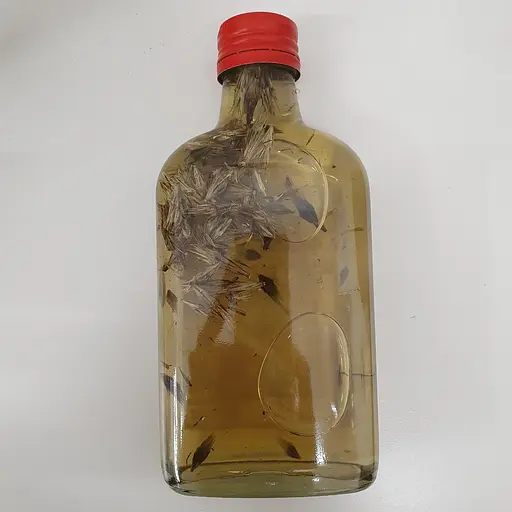 Настоянка на насіння мордовника 200 мл - фото 2