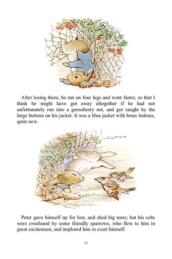 Peter Rabbit 23-Volume Library Collection - фото 13