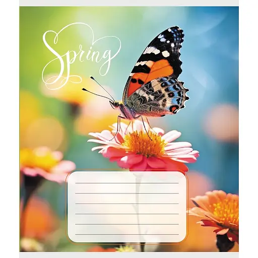 Зошит учнівський "Метелик весною" Leader 018-530216K-3 в клітинку, 18 аркушів - фото 1