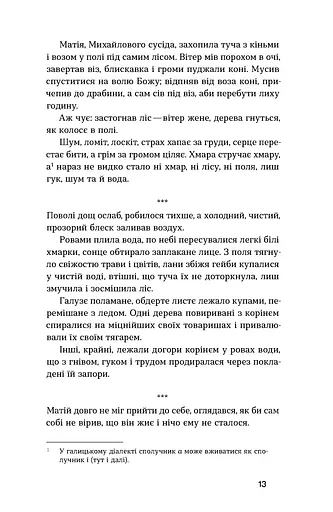 Хмарниця. Оповідання - фото 11