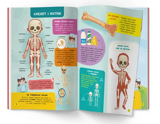 Школа сучасного чомусика. Моє тіло. 100 розвивальних наліпок - фото 2