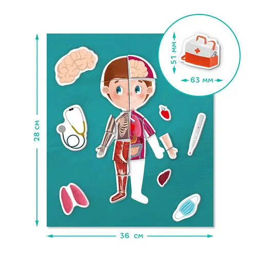 Розвиваюча магнітна гра "Людське тіло" DoDo 200220 - фото 3