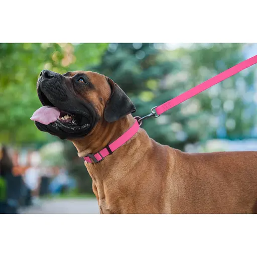 Водостойкий поводок для собак Waudog Waterproof L-XXL Ш 25 мм Д 183 см розовый - фото 7