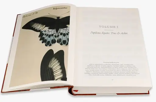 Iconotypes. A compendium of butterflies and moths. Jones’s Icones Complete - фото 3