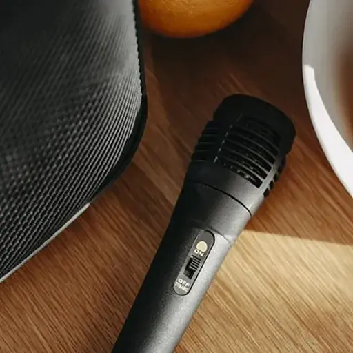Колонка Adler AD 1903 Bluetooth з функцією радіо і караоке - фото 6