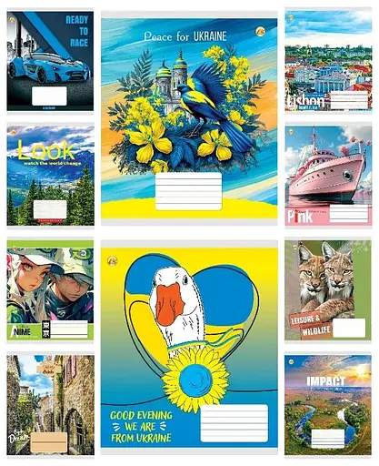 Тетради ученические 18 листов линия Тверда ТЕ42206 МІКС6, 20 шт. в упаковке
