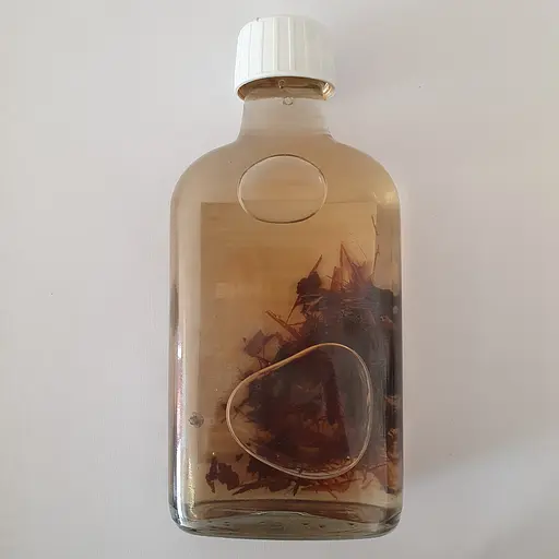 Настоянка на корі мурашиного дерева 200 мл - фото 2