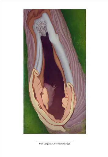 The British Surrealists - фото 15