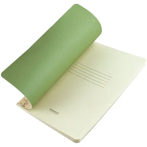 Книга записна Axent Turnowsky Secret Garden А5 60 аркушів у клітинку (8710-2-A-TR) - фото 4