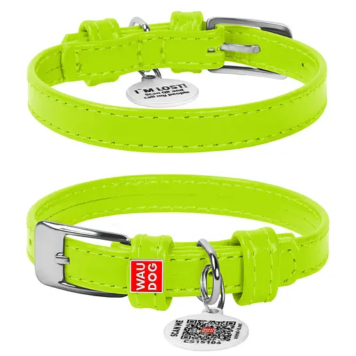 Ошейник для собак кожаный Waudog Glamour с QR-паспортом без украшений XS Ш 12 мм Д 21-29 см салатовый