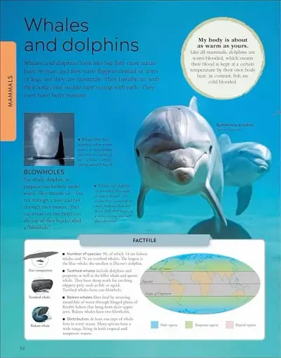 Animals A Children's Encyclopedia - фото 4