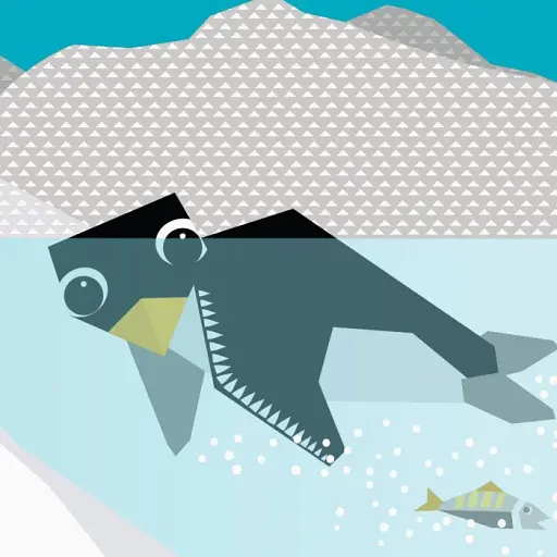 Полярні друзі - фото 5