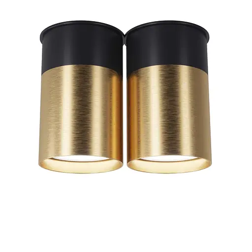 Точковий спот BP Black/White Gold двійний, PikArt арт. 25595 Золотий/чорний 2 - фото 1