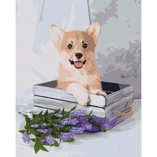Картина по номерам Игривый корги Brushme 40x50 см разноцветная 000277742