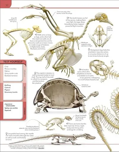 Animal Knowledge Genius - фото 2