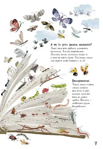 Велика книга малих істот - фото 8