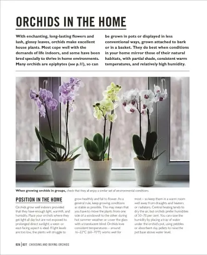 Grow Orchids. Essential Know-how and Expert Advice for Gardening Success - фото 6