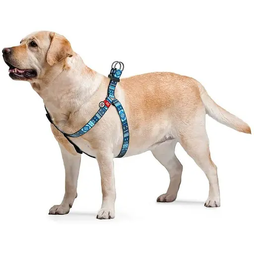 Шлея для собак Waudog Nylon з QR паспортом, малюнок "Етно синій", пластиковий фастекс - фото 3
