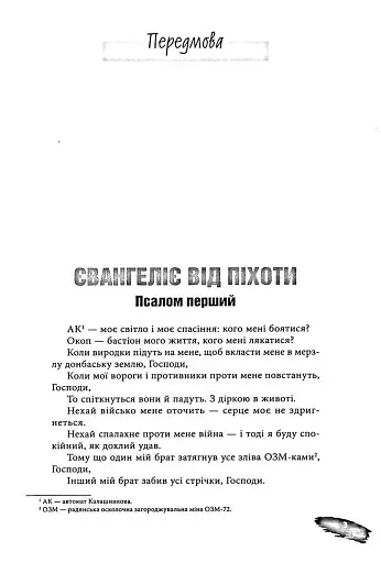 Піхота. Наша земля - фото 2