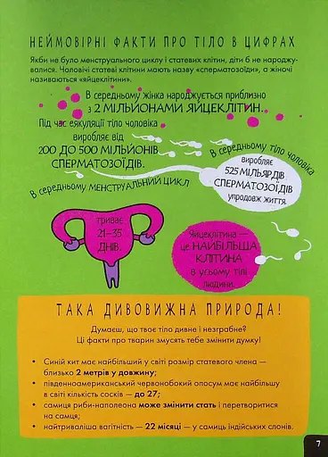 Розширення світогляду: Про це в цифрах. Цікаво про секс і дорослішання - фото 9